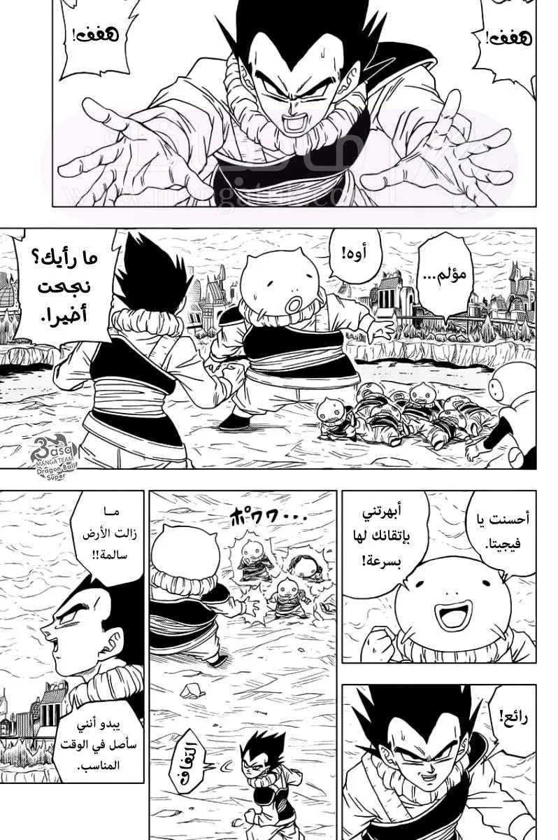 الصفحة 19