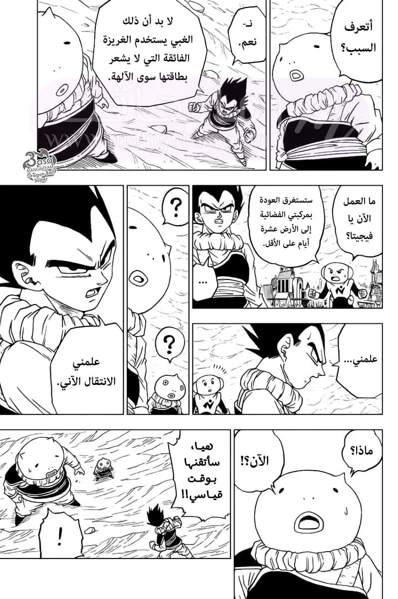 الصفحة 21
