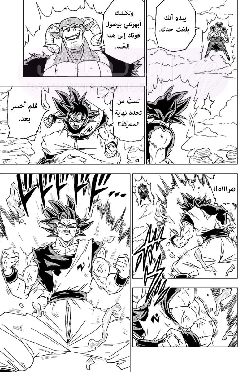 الصفحة 25