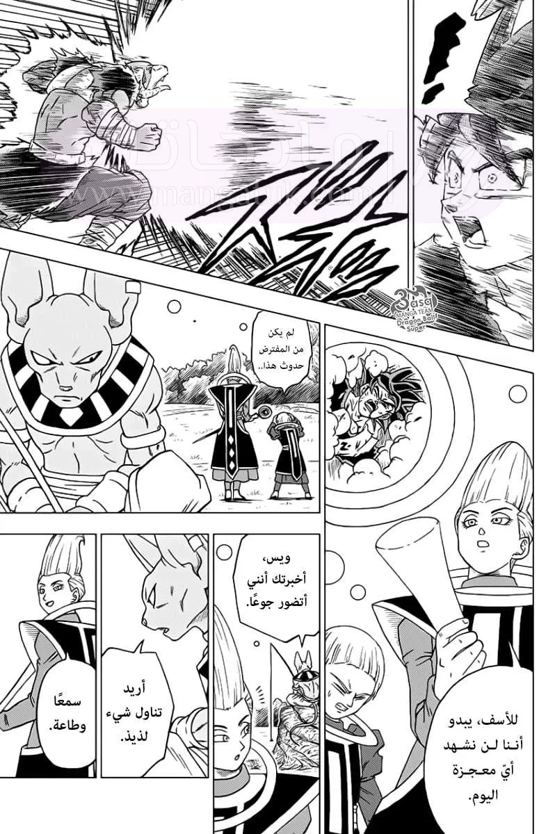الصفحة 27