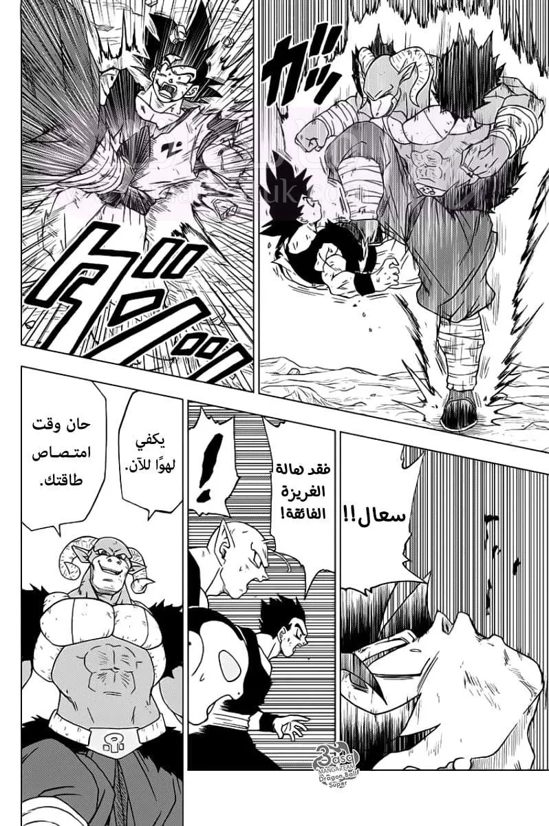 الصفحة 30