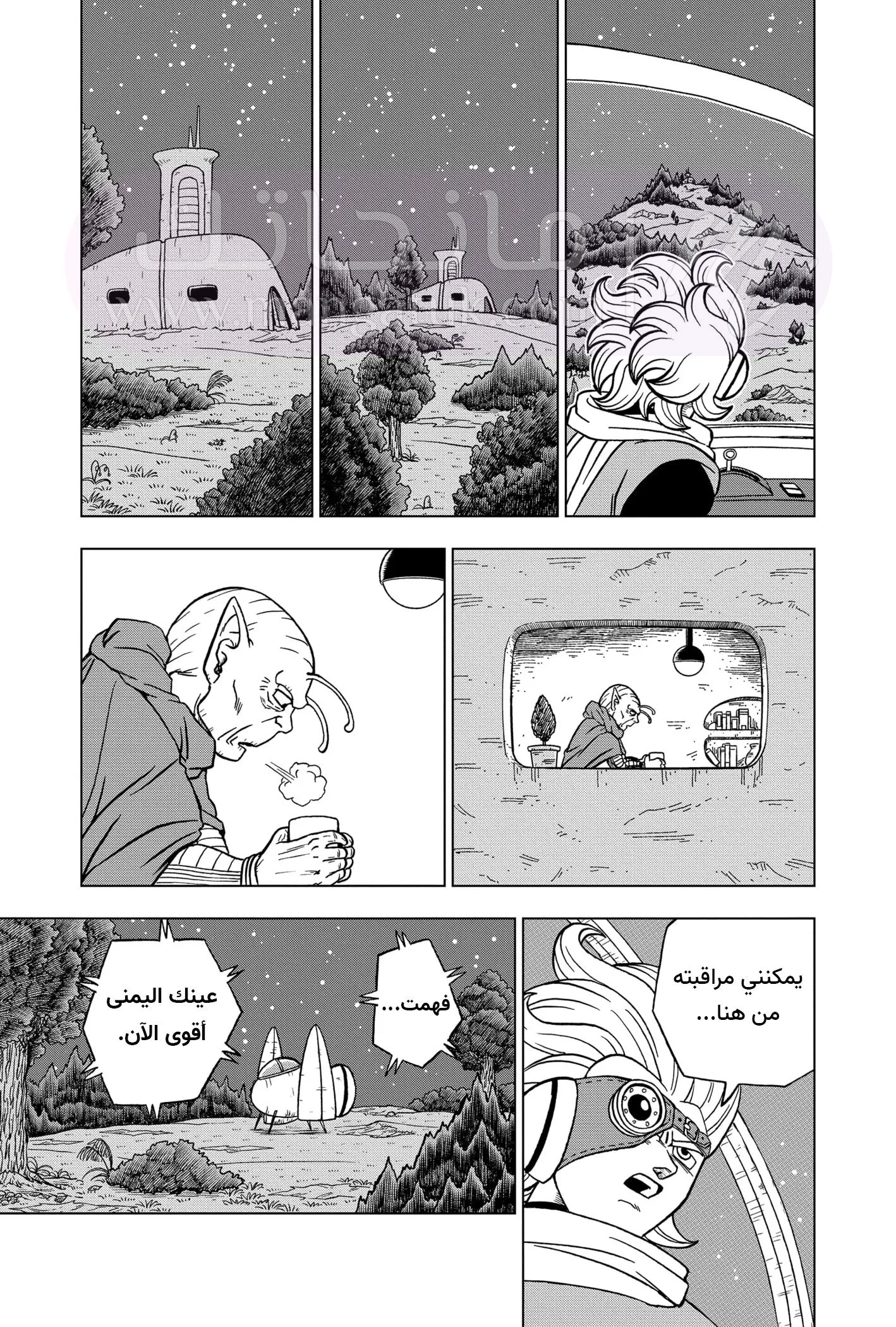 الصفحة 10