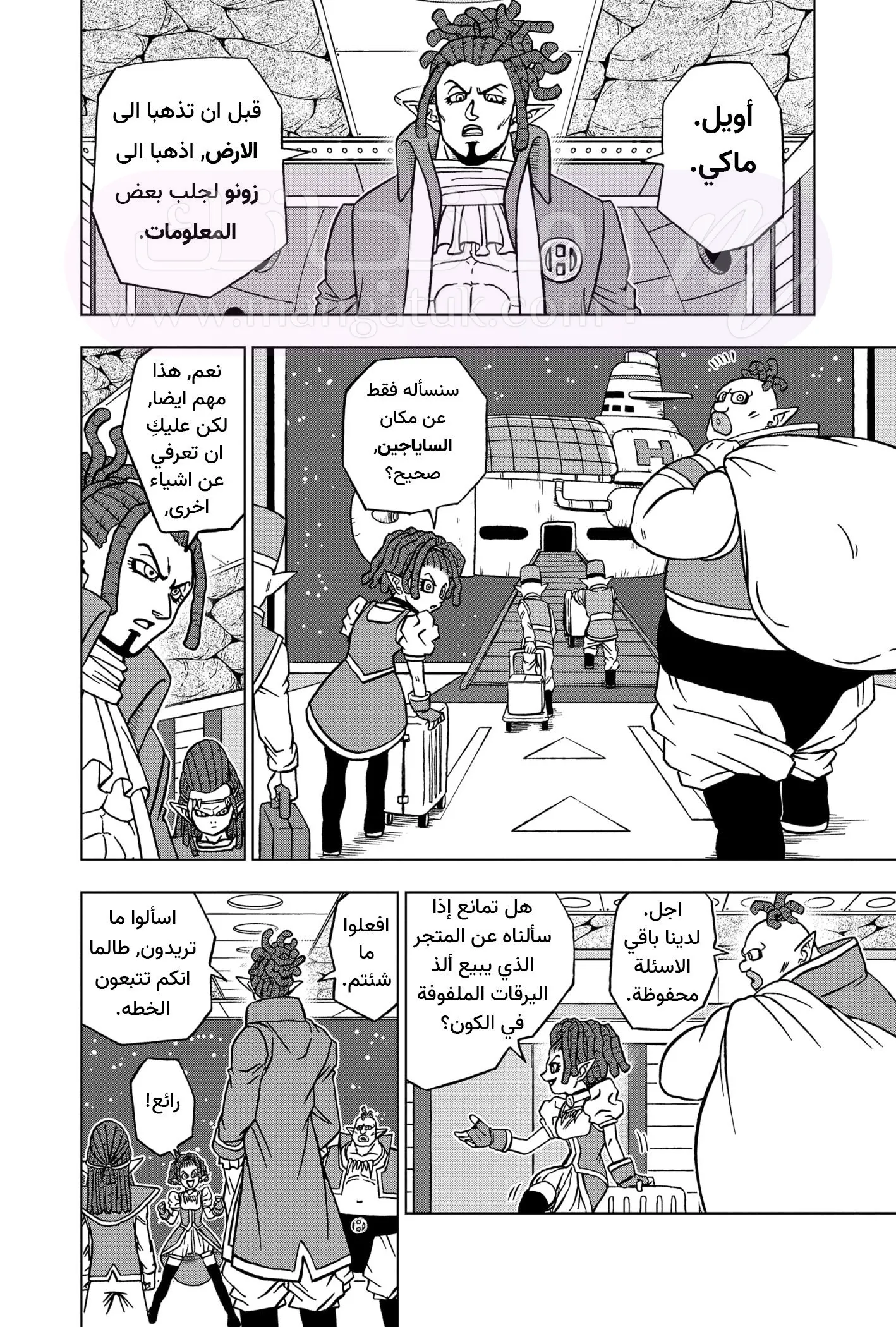 الصفحة 11