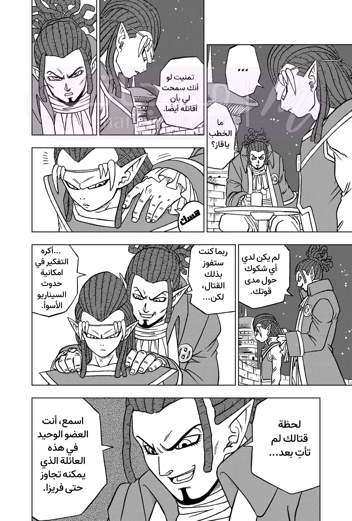 الصفحة 13