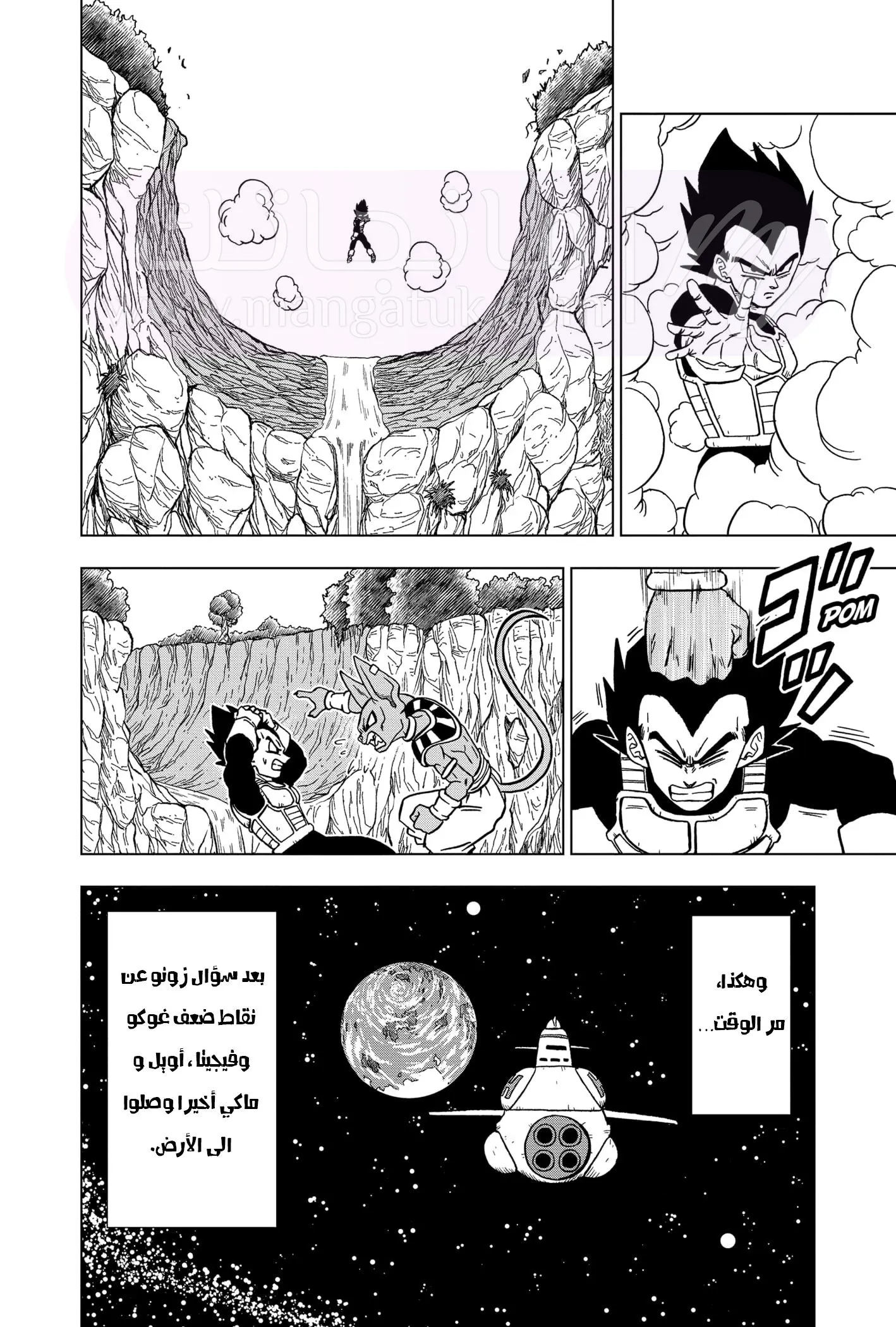 الصفحة 25
