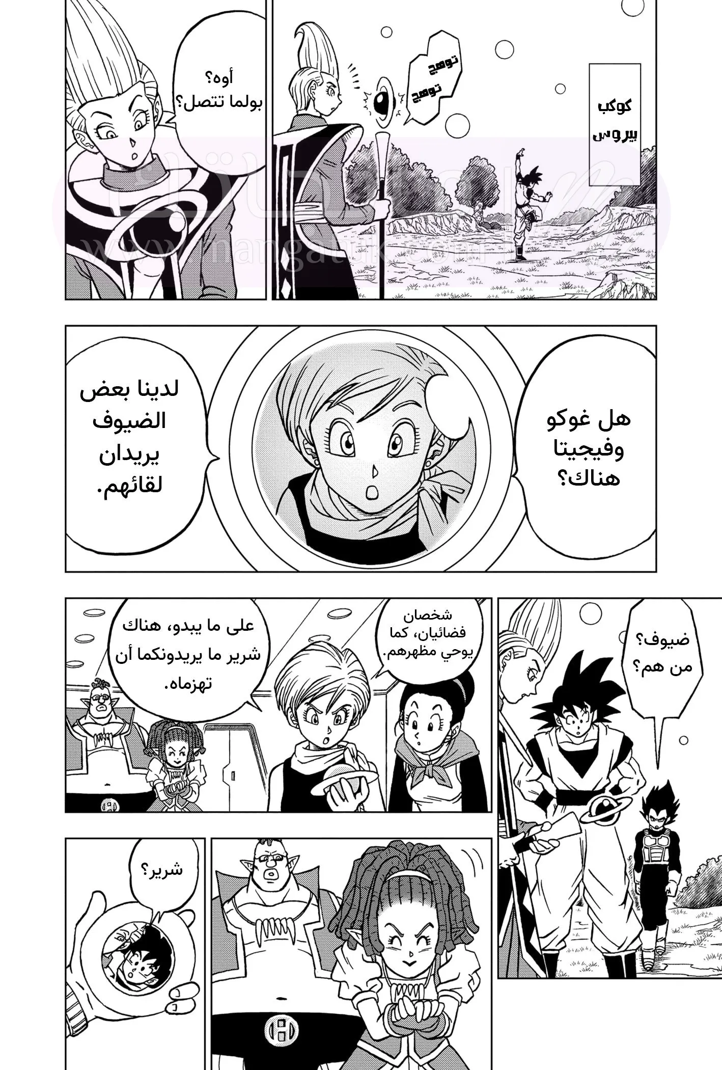 الصفحة 27