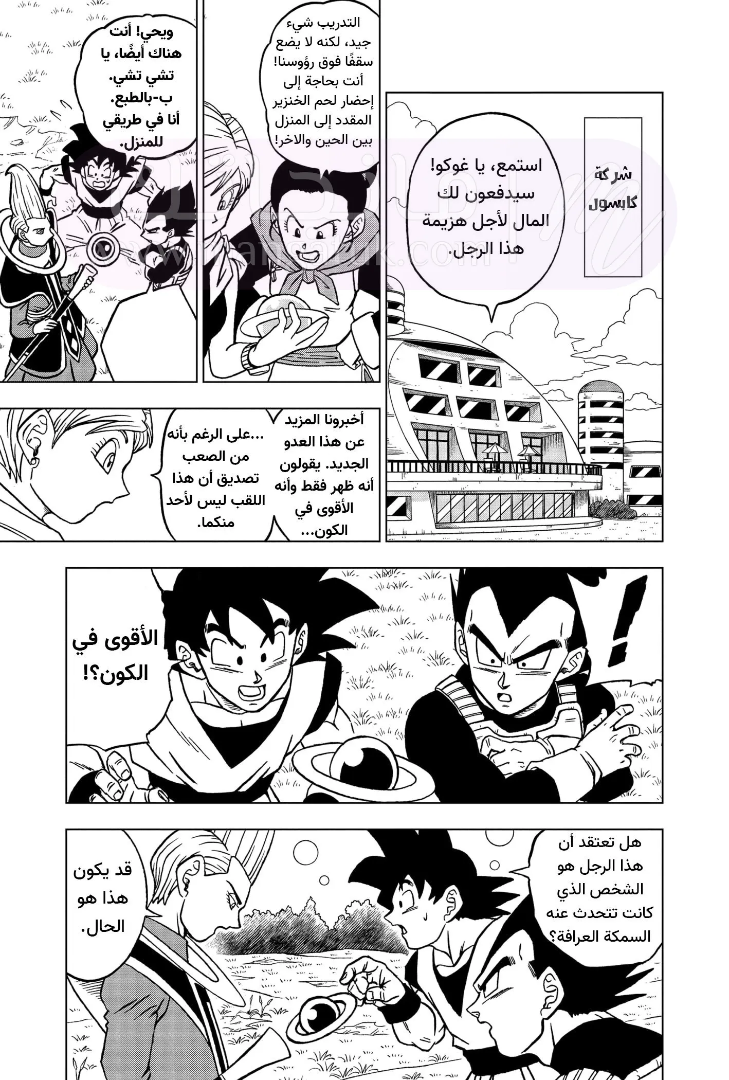 الصفحة 28