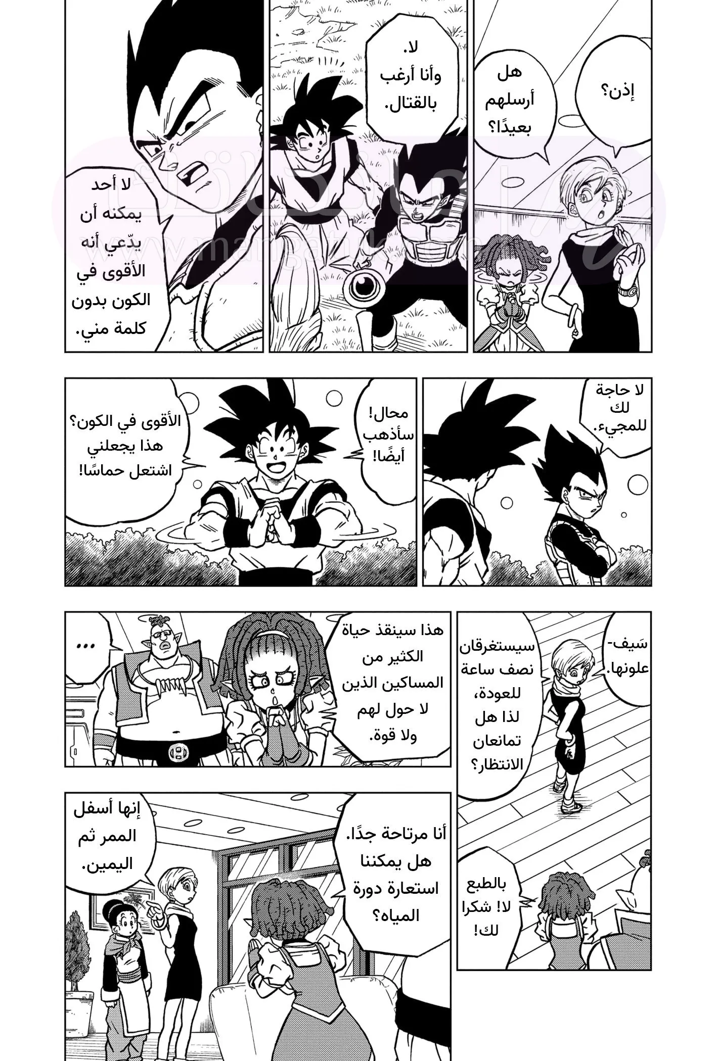 الصفحة 29