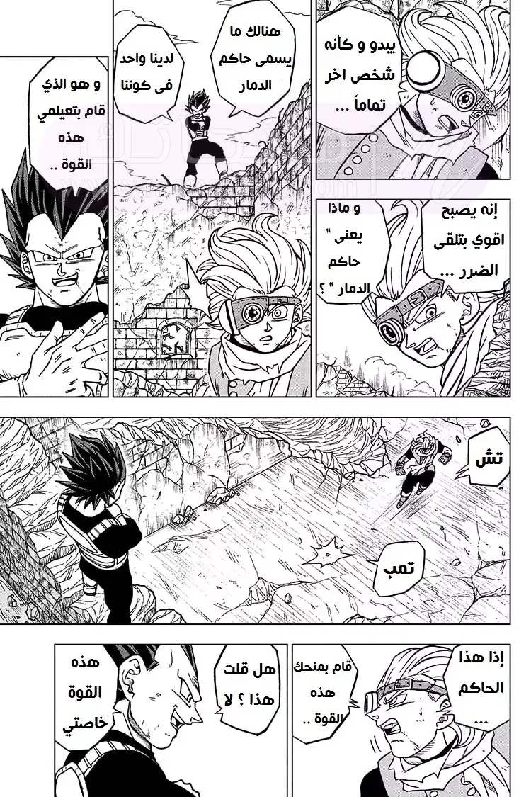 الصفحة 11