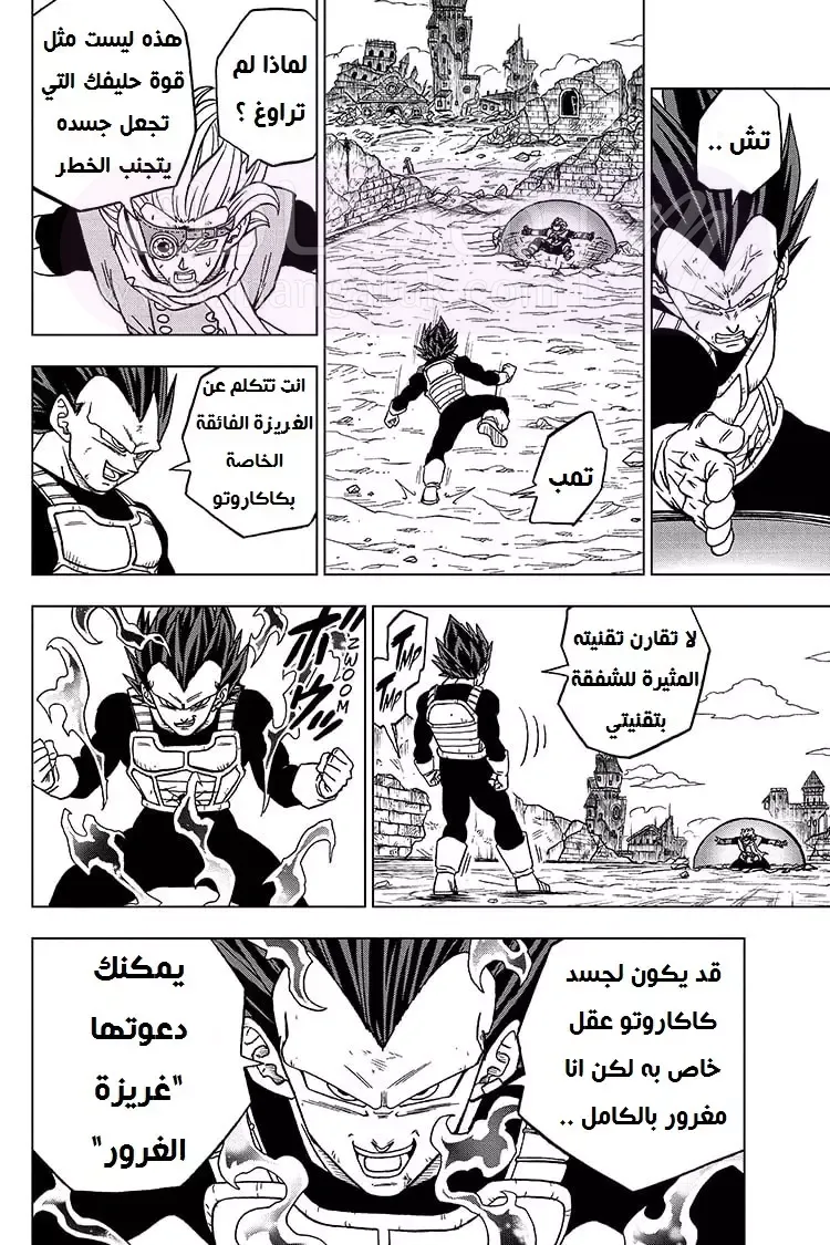 الصفحة 16