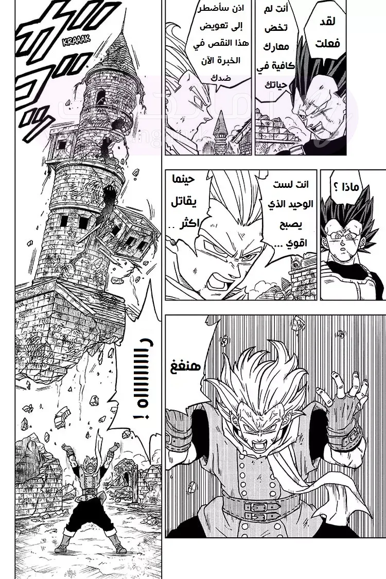 الصفحة 24