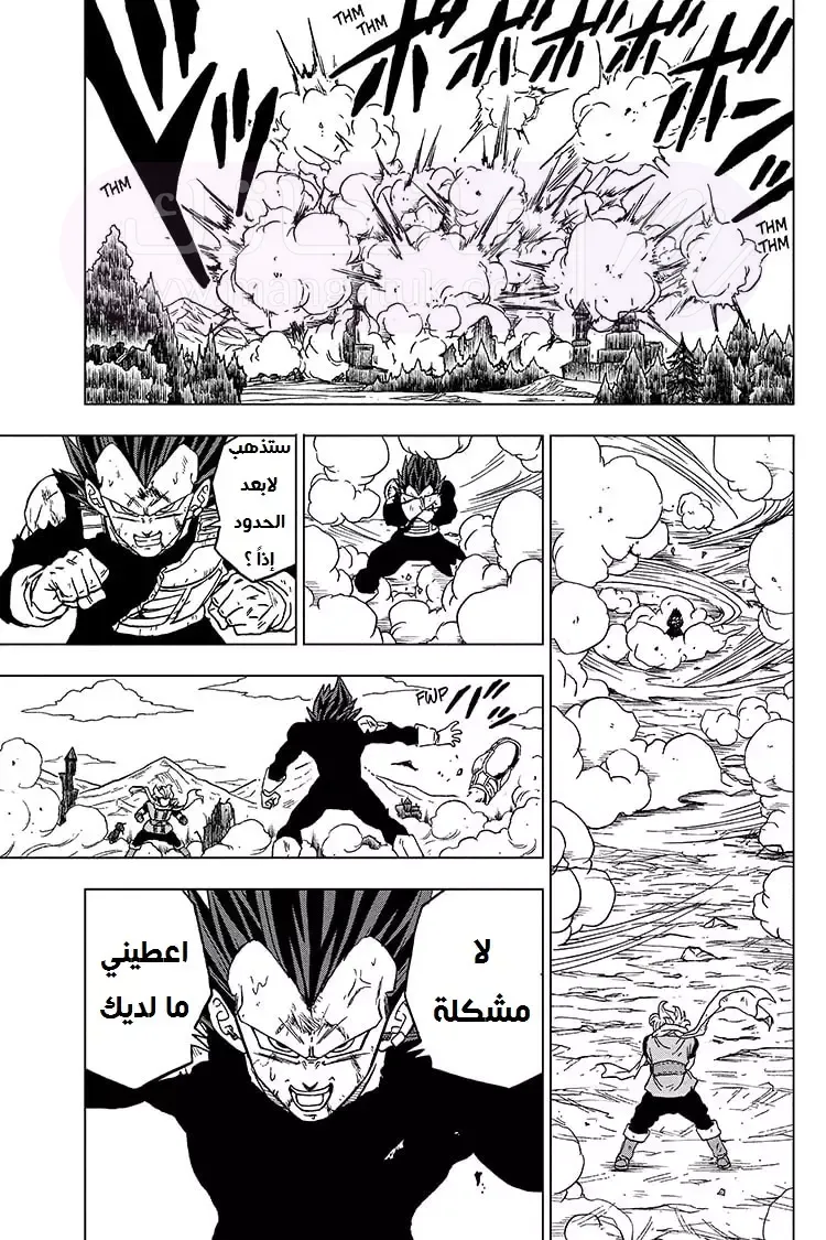 الصفحة 27