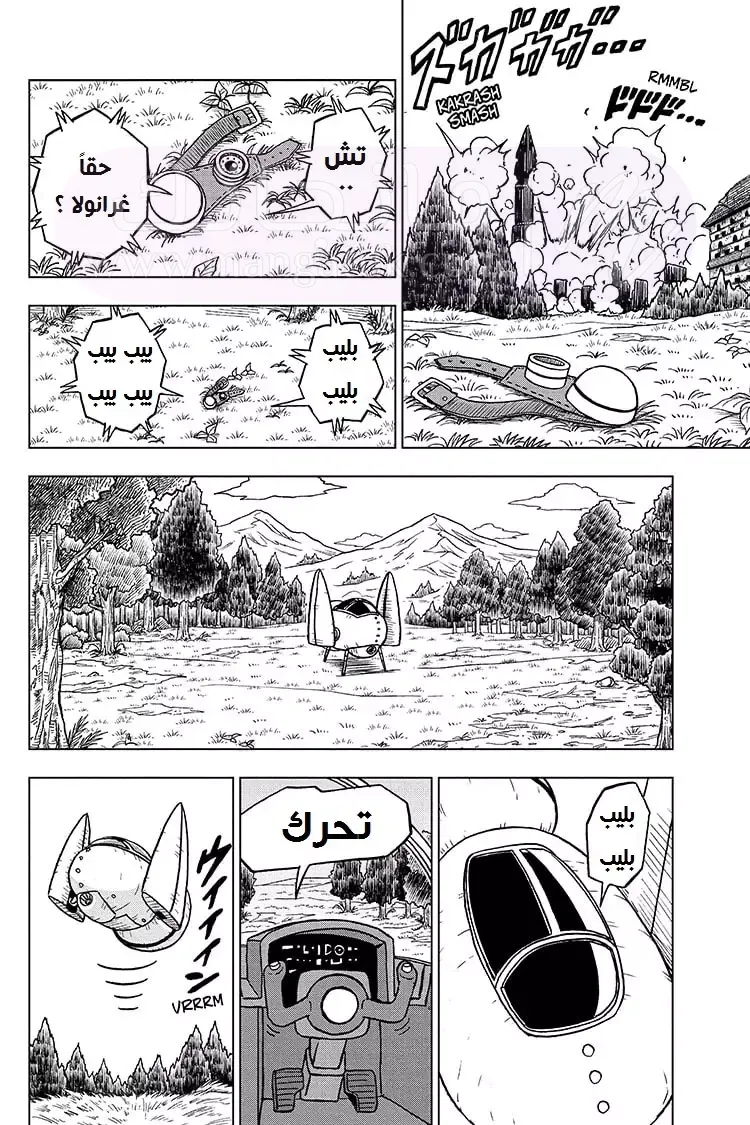 الصفحة 28