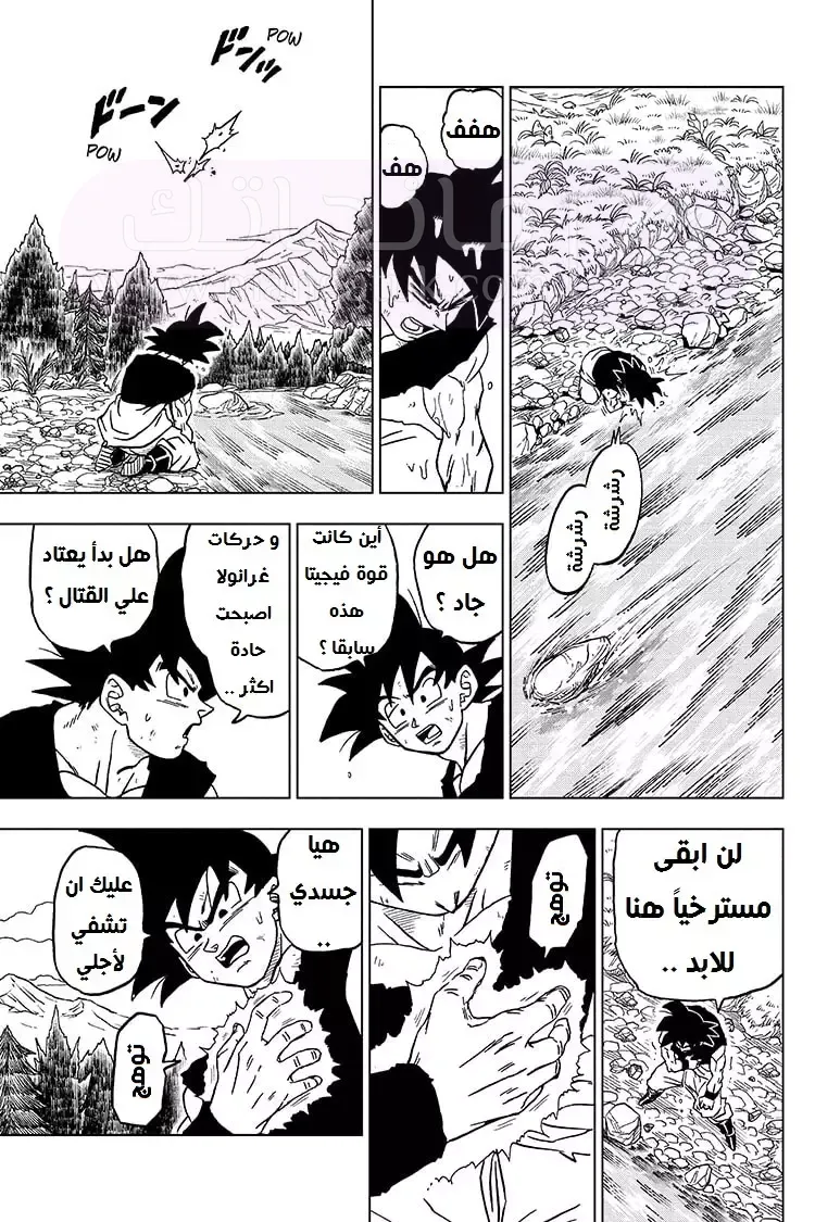 الصفحة 33