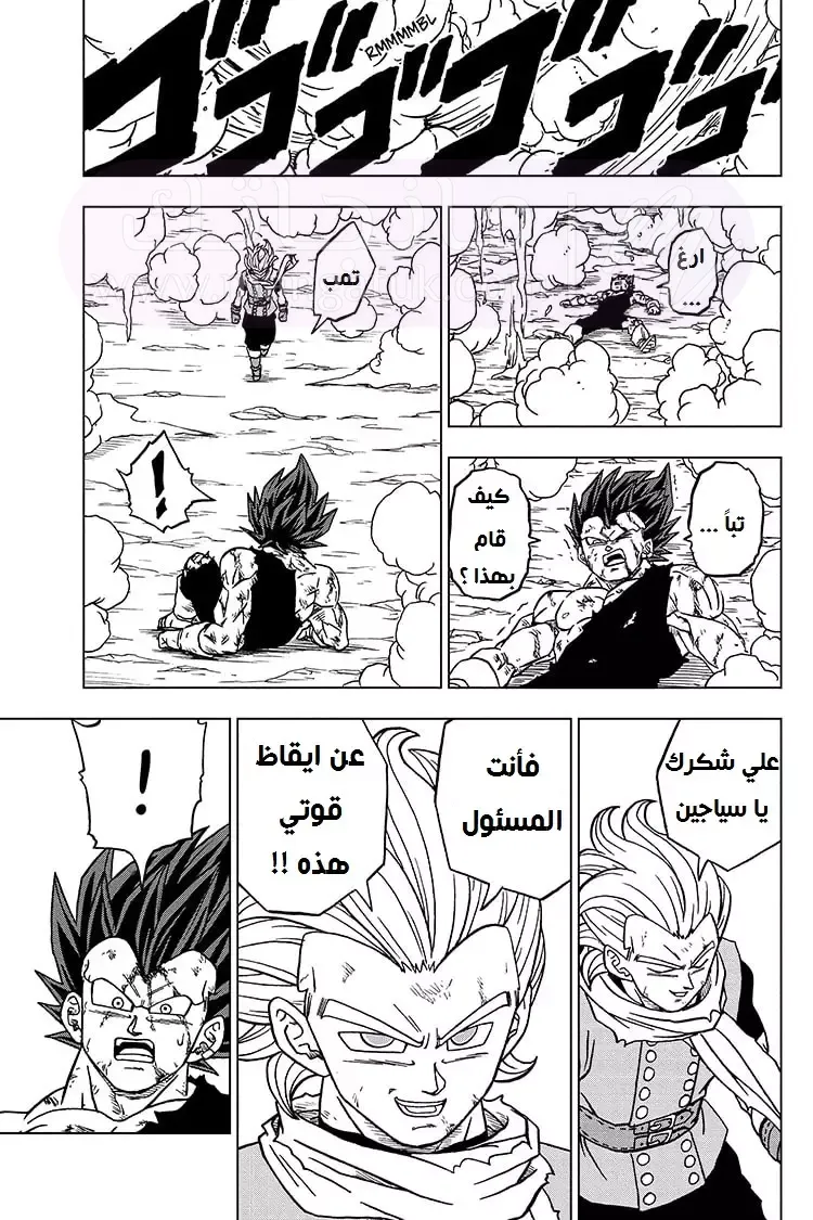الصفحة 43