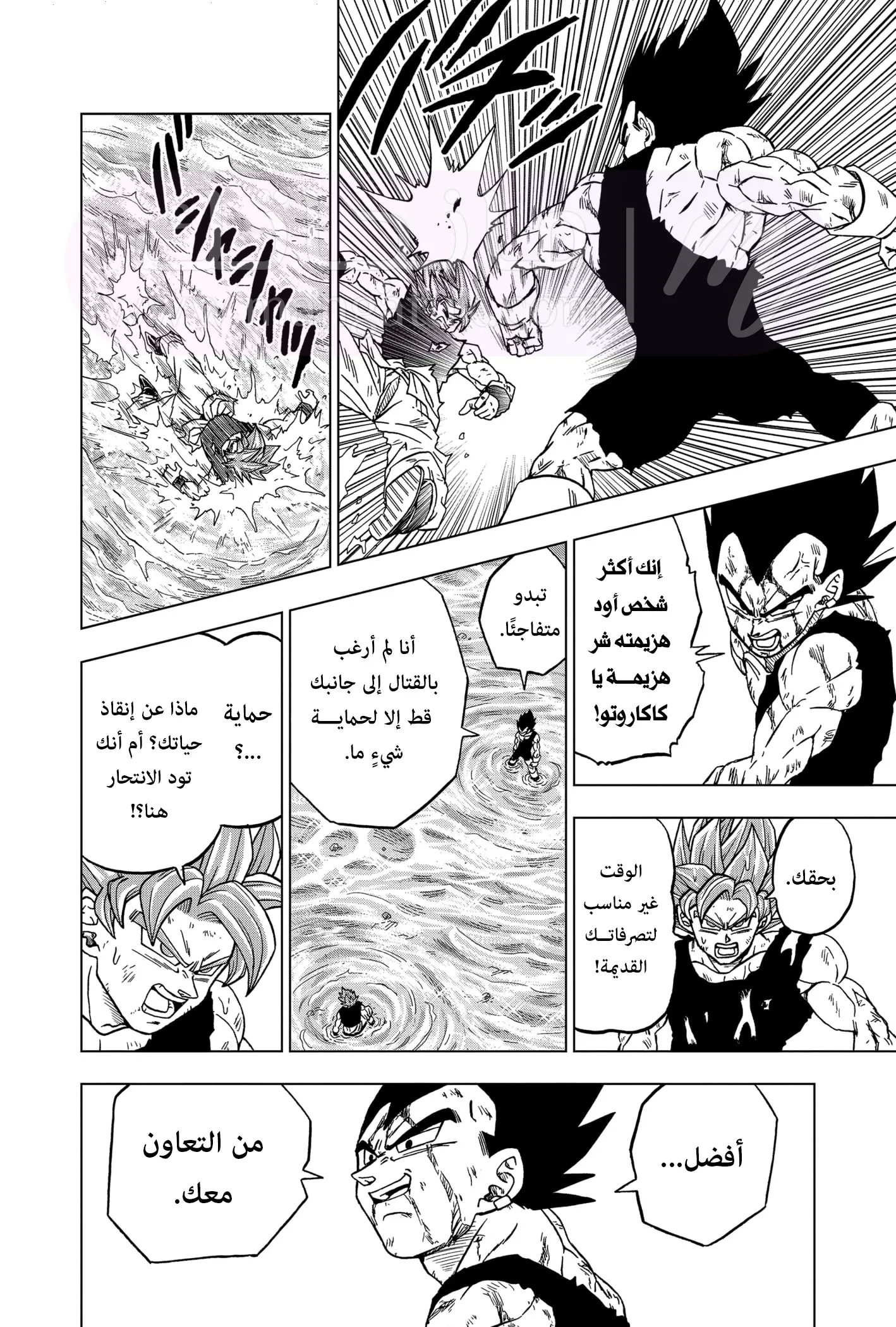 الصفحة 11