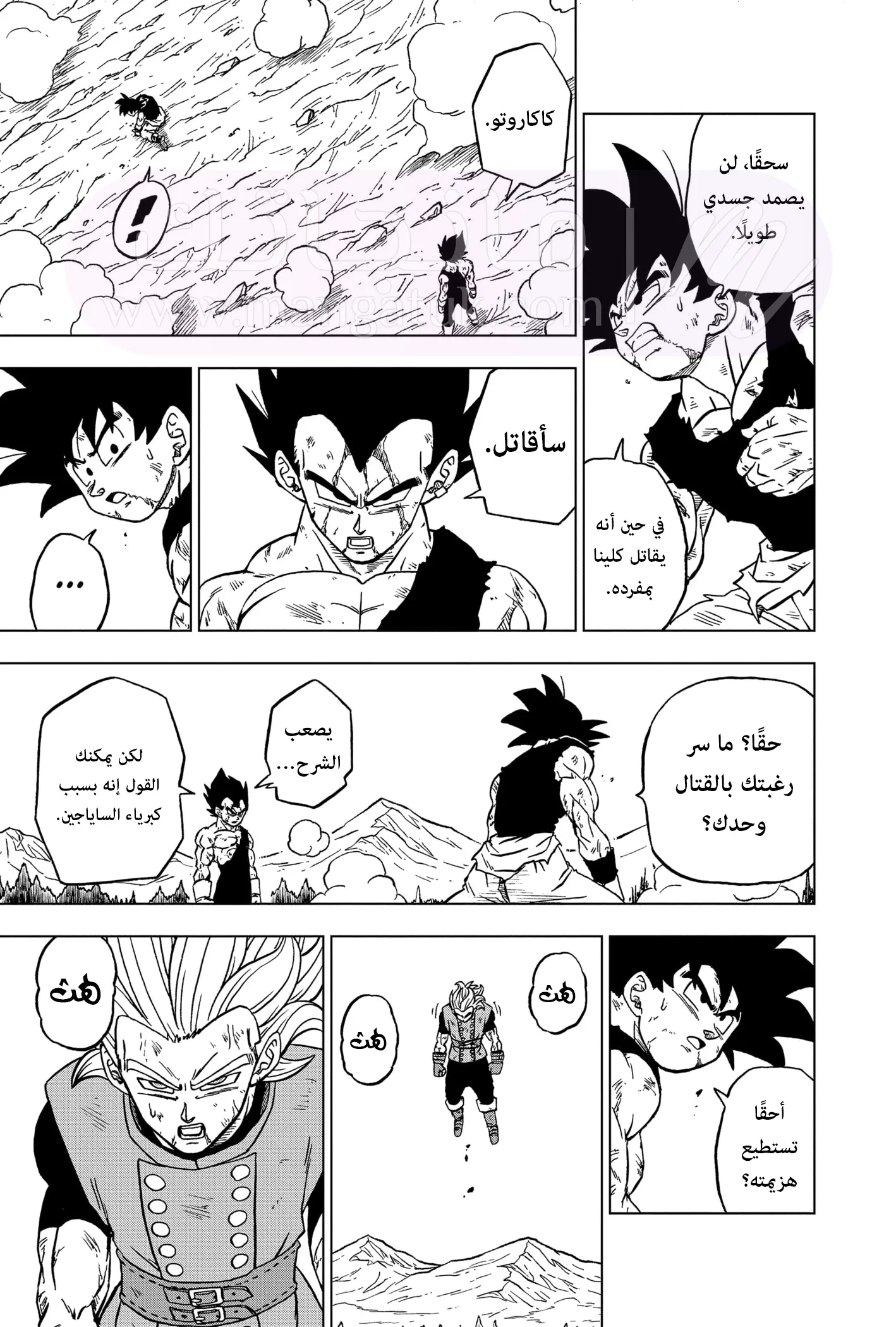 الصفحة 22