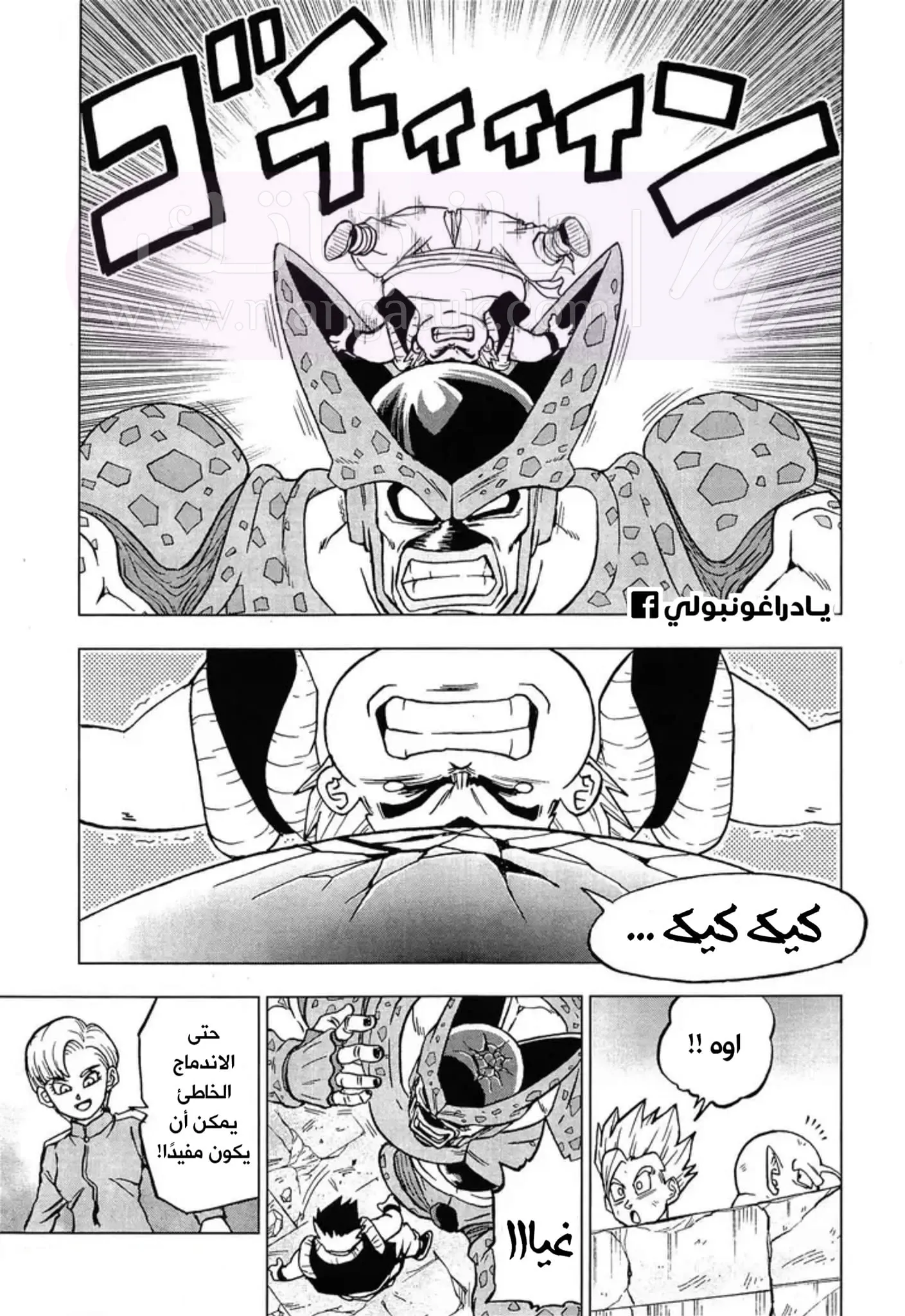 الصفحة 3