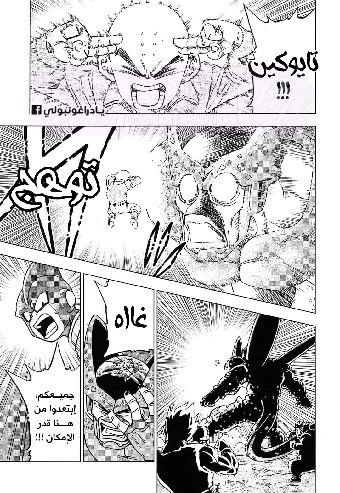 الصفحة 11
