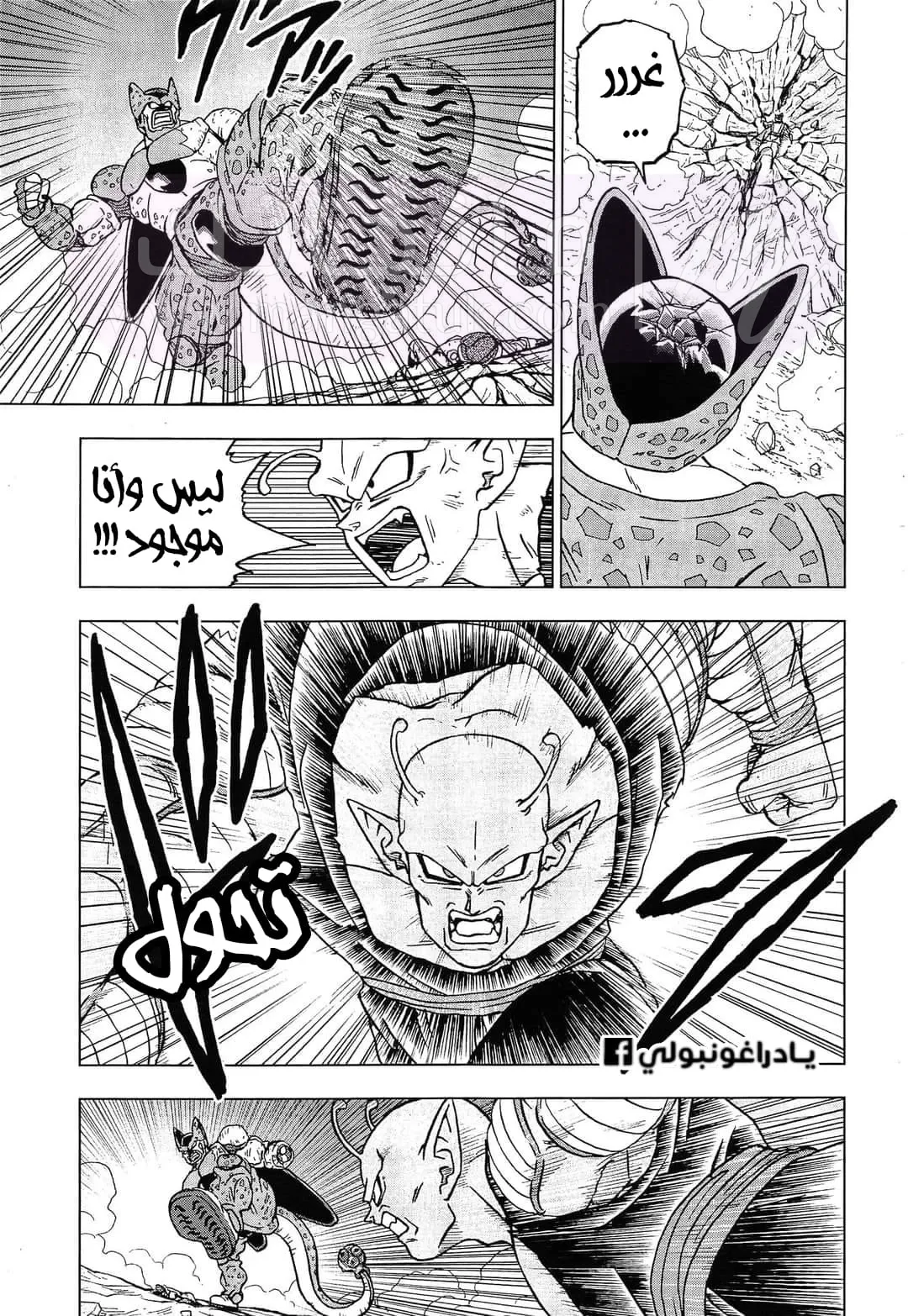 الصفحة 19
