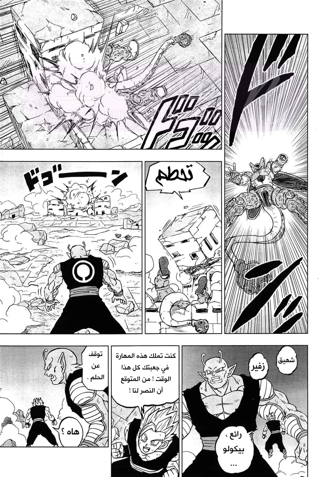 الصفحة 25