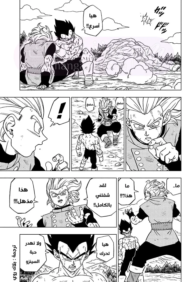 الصفحة 3