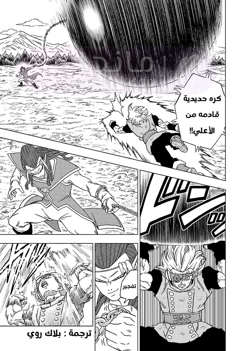 الصفحة 17