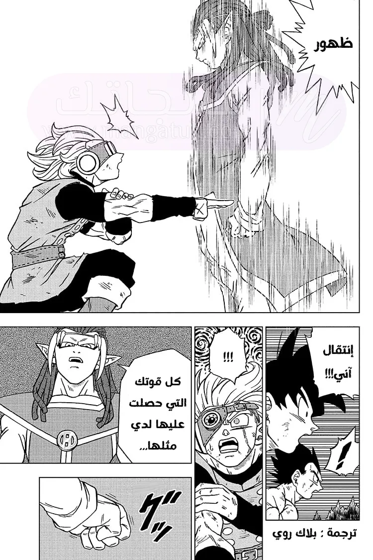 الصفحة 33