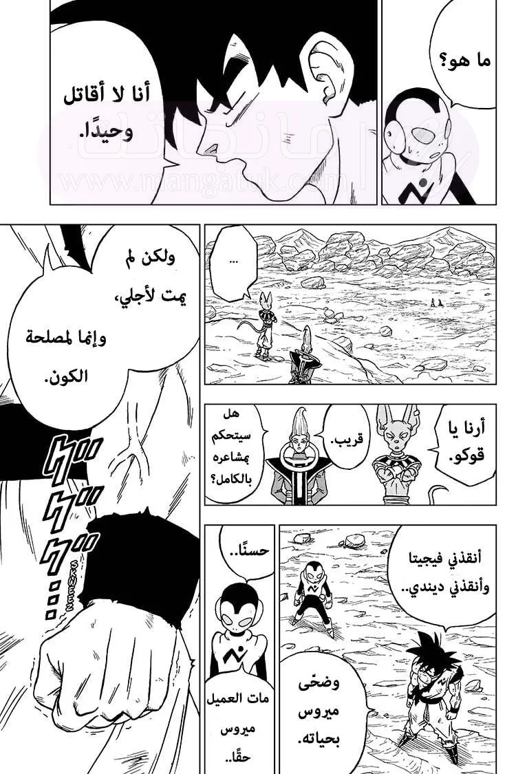 الصفحة 3