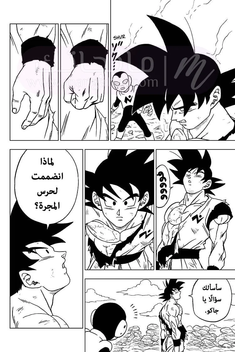 الصفحة 4