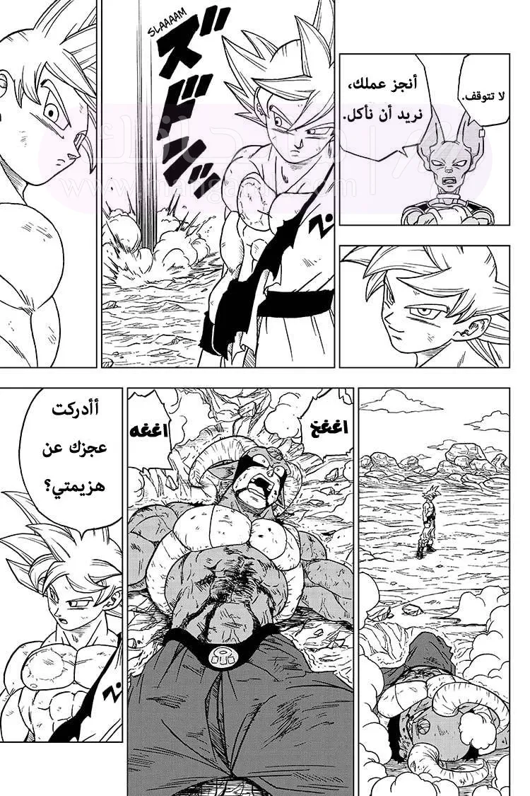 الصفحة 35