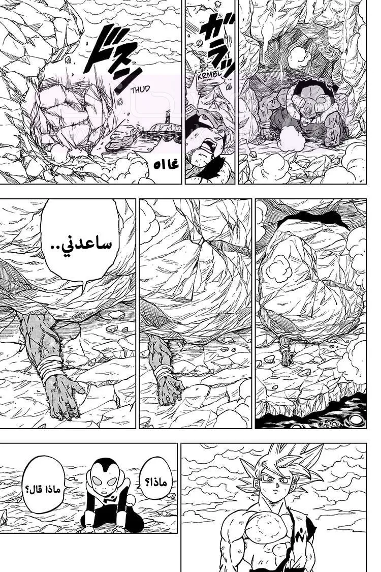 الصفحة 43