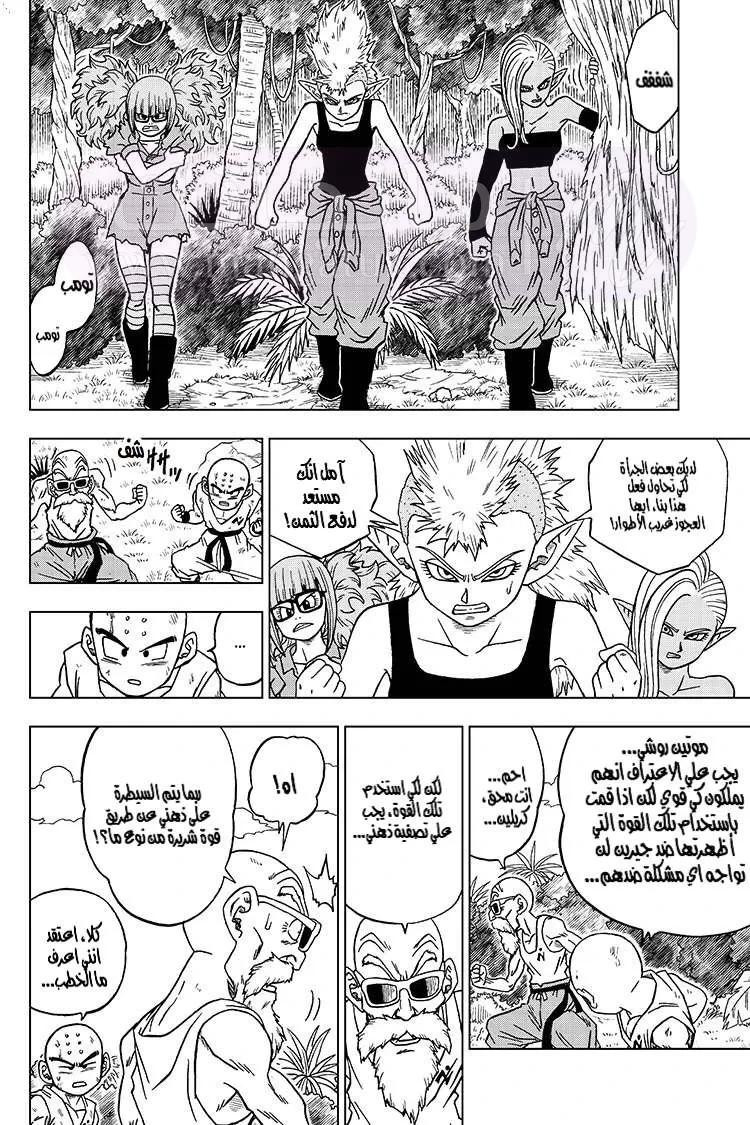 الصفحة 13