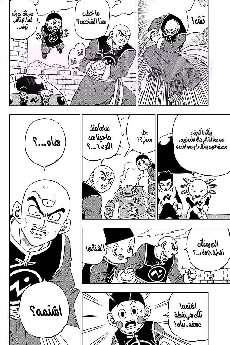 الصفحة 15