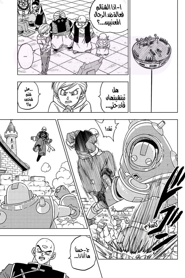 الصفحة 16