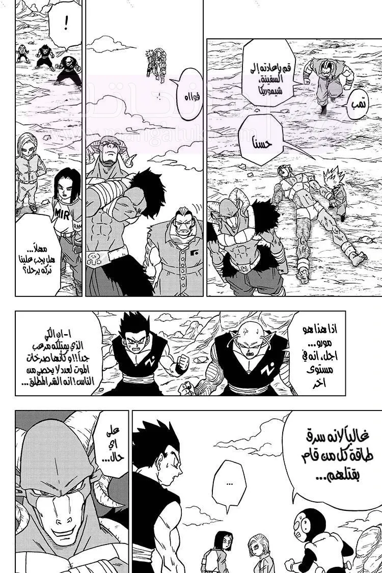 الصفحة 31