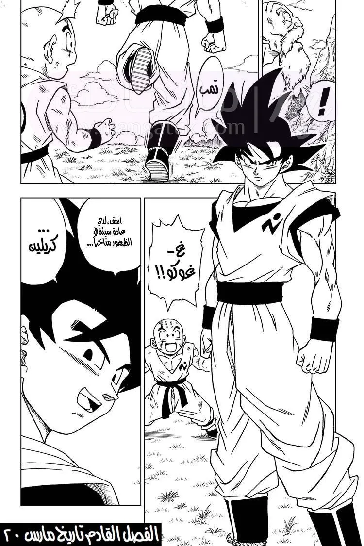 الصفحة 46