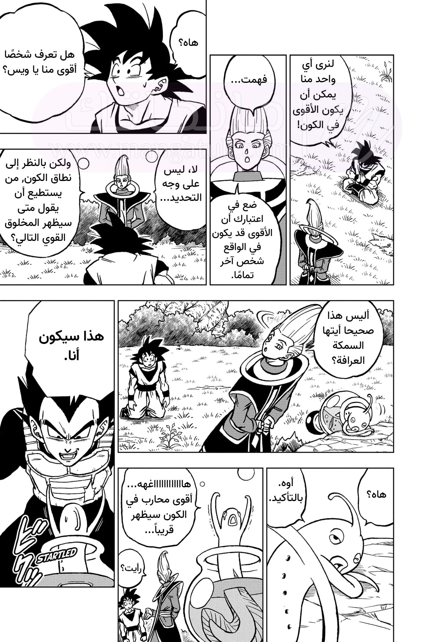الصفحة 8