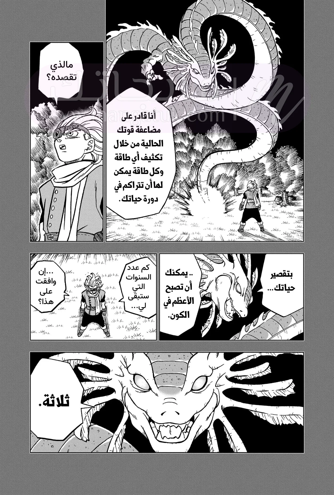 الصفحة 41