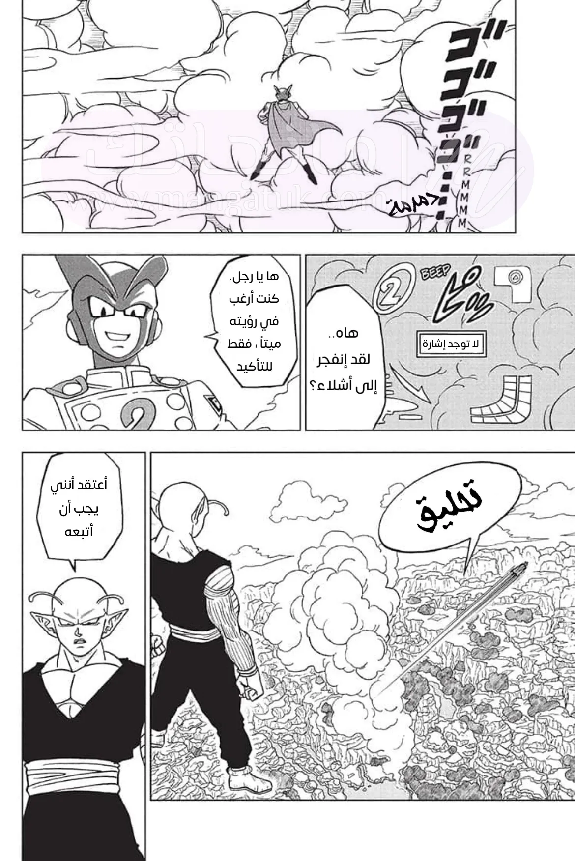 الصفحة 19
