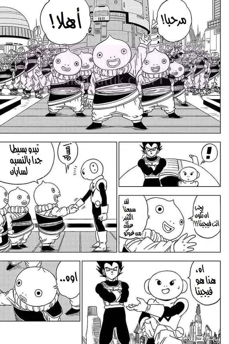 الصفحة 3