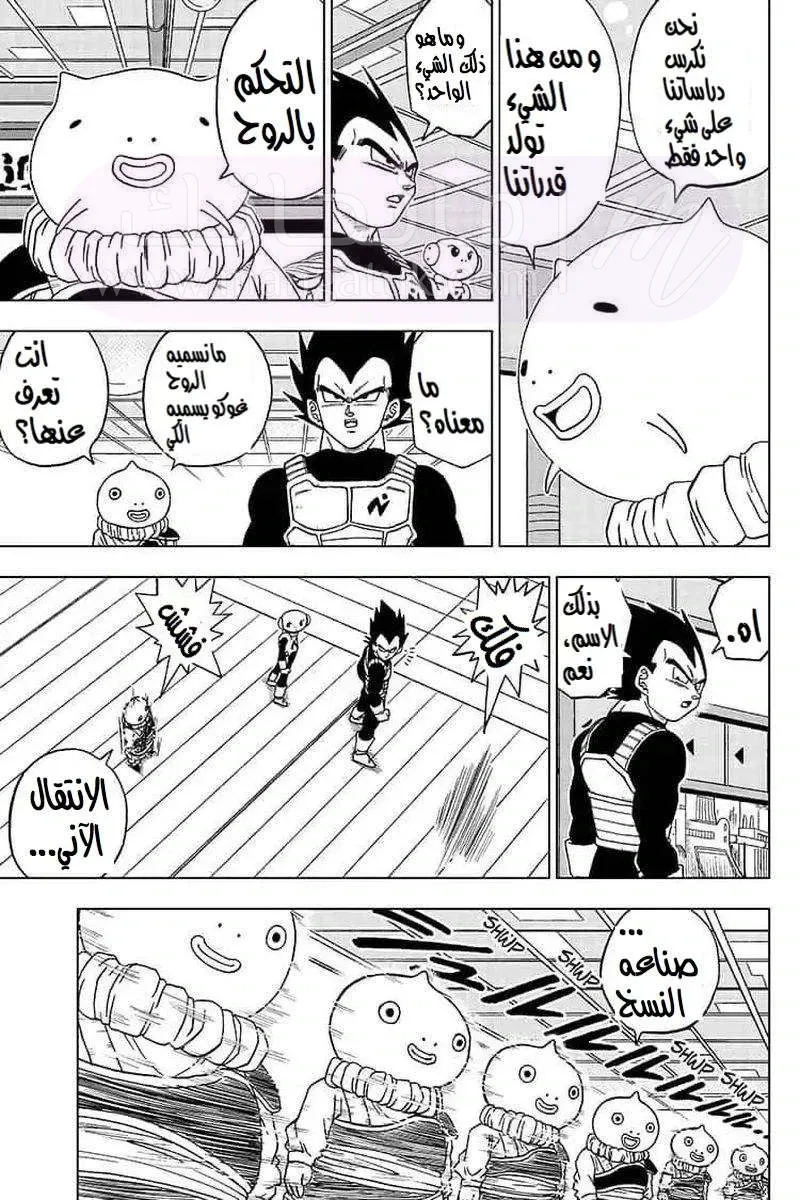 الصفحة 7