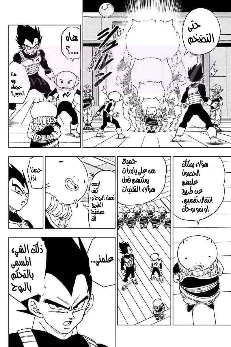 الصفحة 8