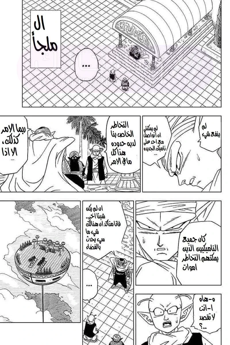 الصفحة 11