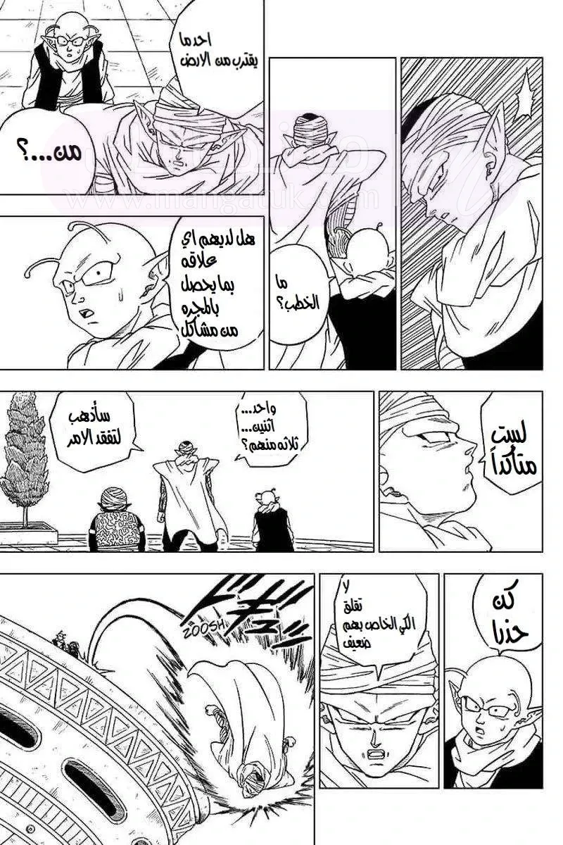الصفحة 13