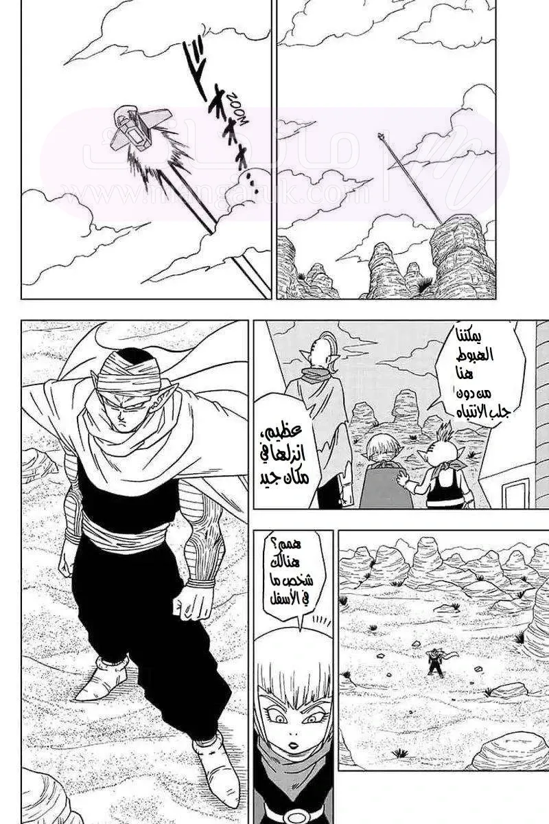 الصفحة 14