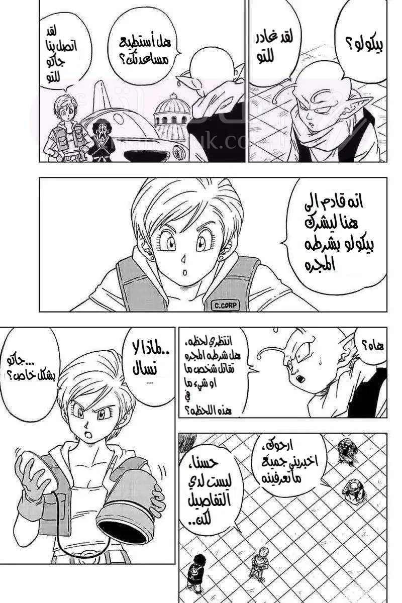 الصفحة 19