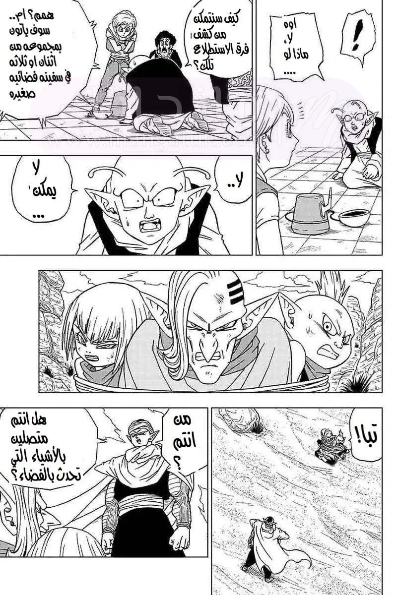 الصفحة 29