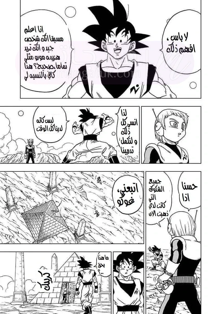 الصفحة 43