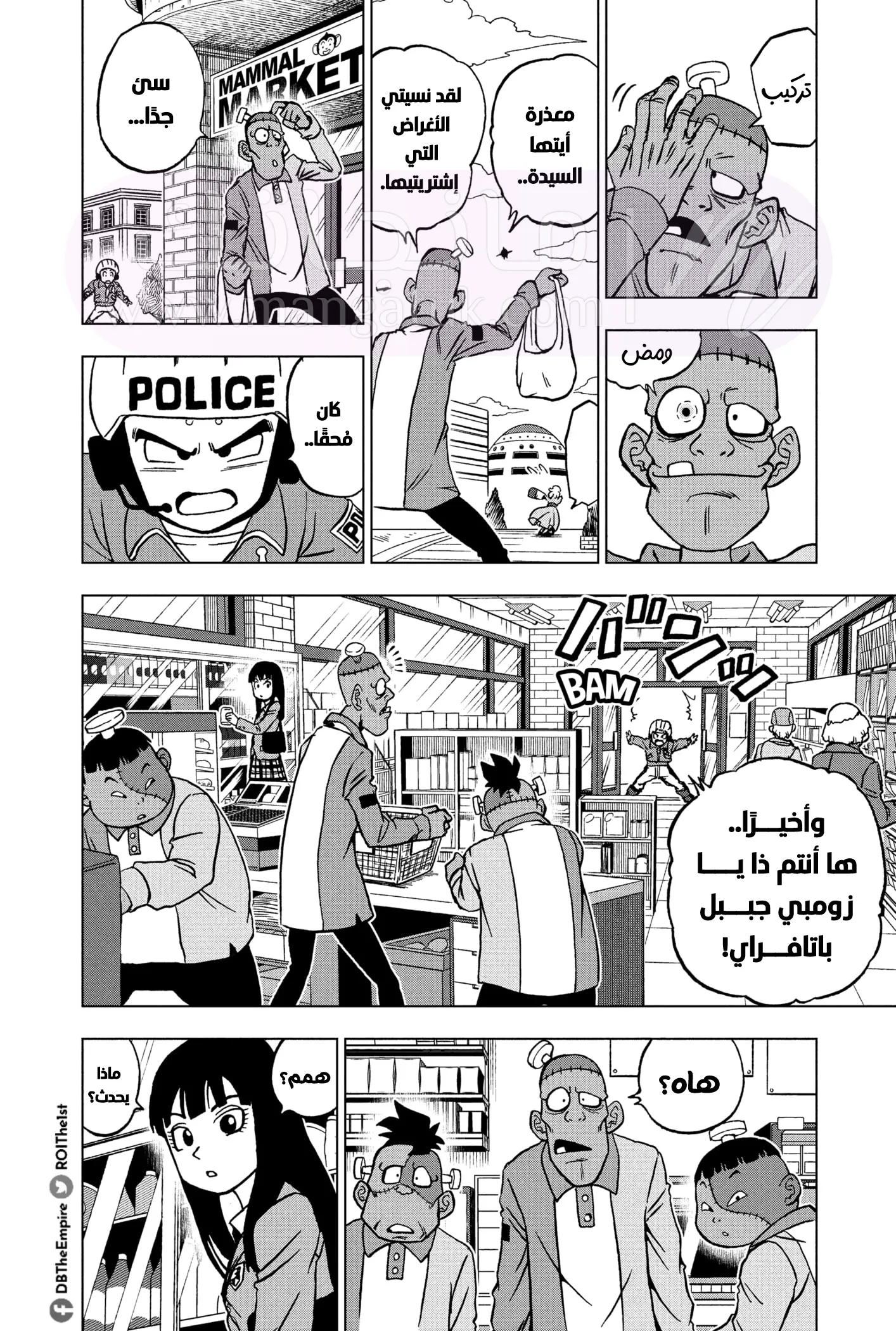 الصفحة 3